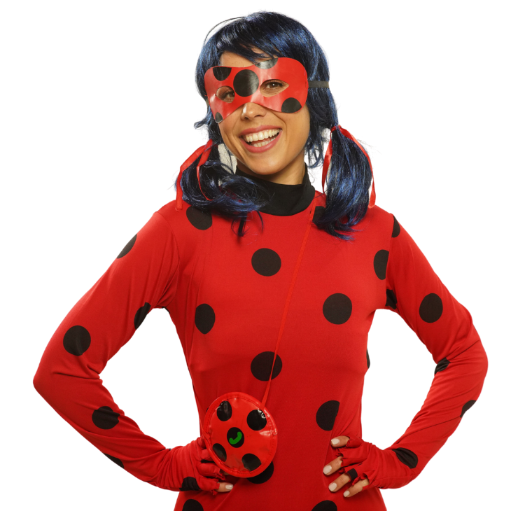 Ladybug Superhero
